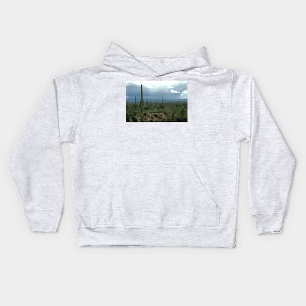 Arizona Desert with Cactus Photograph Kids Hoodie by Bravuramedia